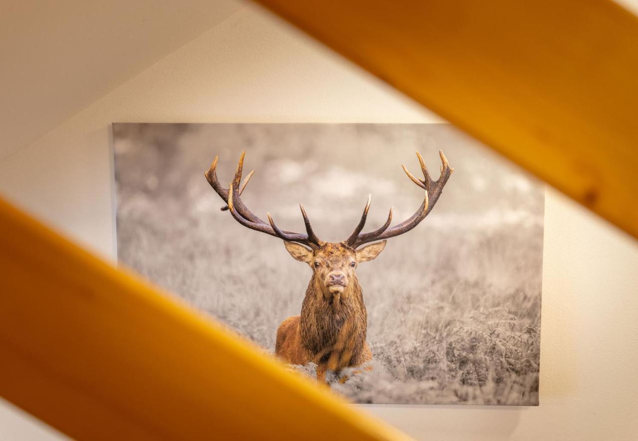 Apartmenthaus Matri By Pferd Auf Wolke Wald am Arlberg Exteriör bild